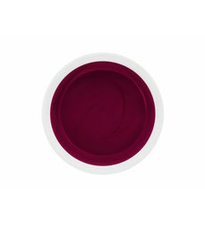 Farebný LED-UV gél 5ml Professionail™ Bordeaux Violet